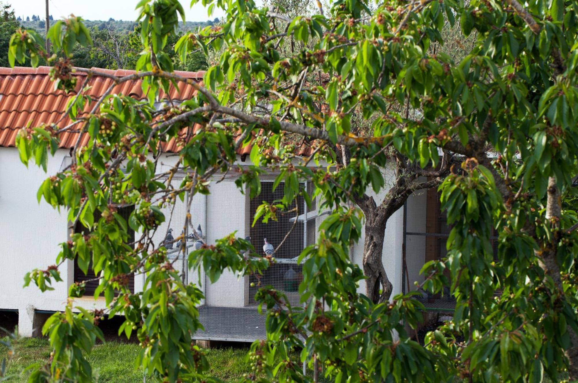B&B Moderno Fažana Camera foto